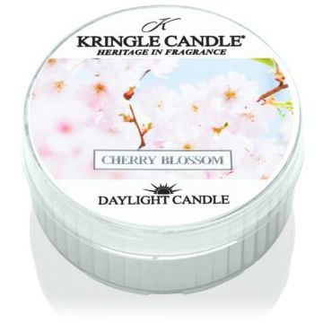 Kringle Candle Warm Cotton lumânare