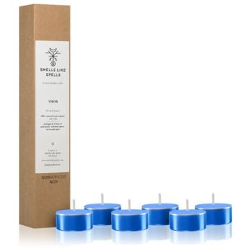 Smells Like Spells Norse Magic Thor lumânare (concentration/career)