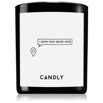 Candly & Co. I wish you were here lumânare parfumată