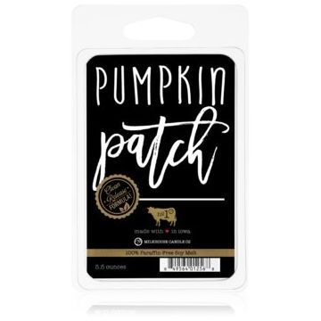 Milkhouse Candle Co. Farmhouse Pumpkin Patch ceară pentru aromatizator