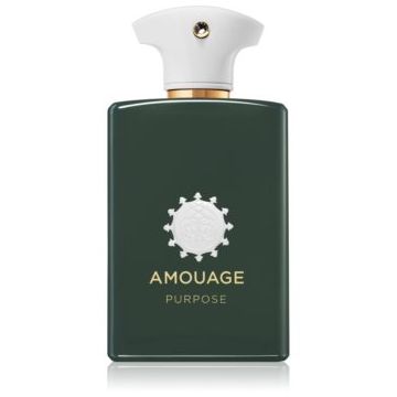 Amouage Purpose Eau de Parfum unisex