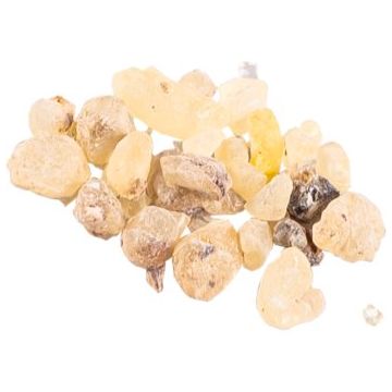 Jungle Way Oman Standard tamaie