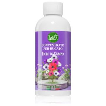 THD Unico Wild Flowers parfum concentrat pentru mașina de spălat